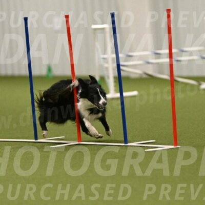 Skyler-Nanette-Jarrett-03871