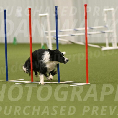 Skyler-Nanette-Jarrett-03872