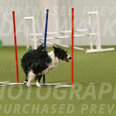 Skyler-Nanette-Jarrett-03873