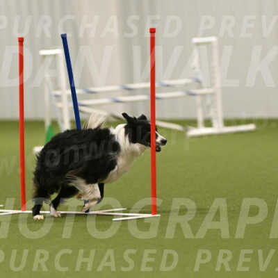 Skyler-Nanette-Jarrett-03874