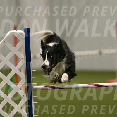 Skyler-Nanette-Jarrett-03875