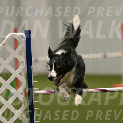 Skyler-Nanette-Jarrett-03876