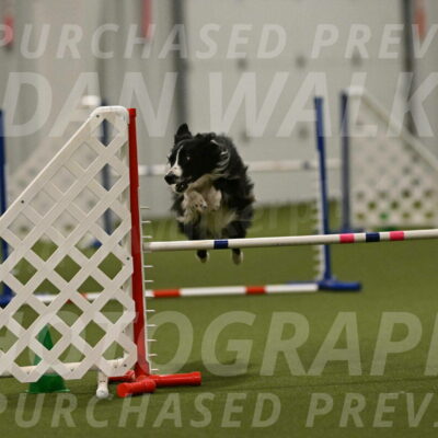 Skyler-Nanette-Jarrett-03877