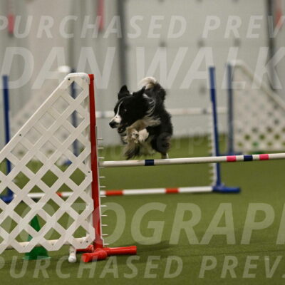 Skyler-Nanette-Jarrett-03878