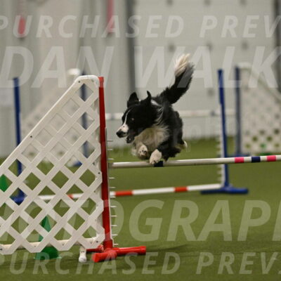 Skyler-Nanette-Jarrett-03879