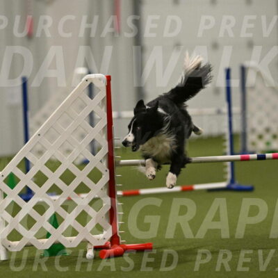 Skyler-Nanette-Jarrett-03880