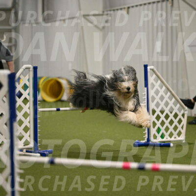 Smooch-Richard-Masley-03008