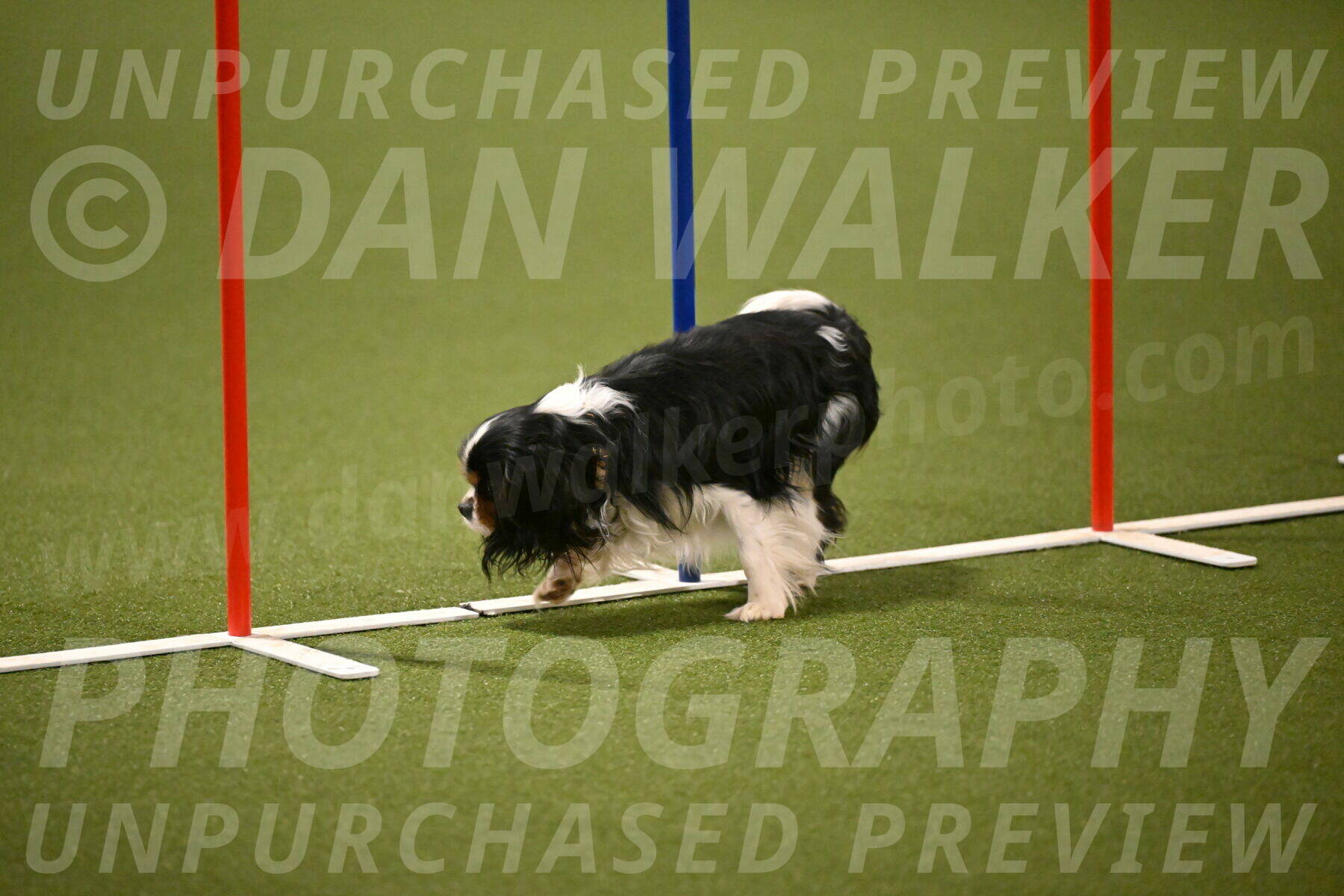 Smuggler-Laura-Kuterbach-12897