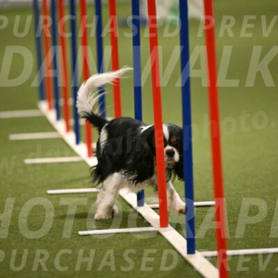 Smuggler-Laura-Kuterbach-12932