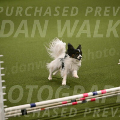 Sparky-Denise-Schneider-11543