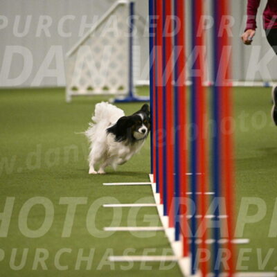 Sparky-Denise-Schneider-11570