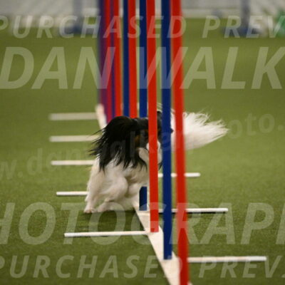 Sparky-Denise-Schneider-11576