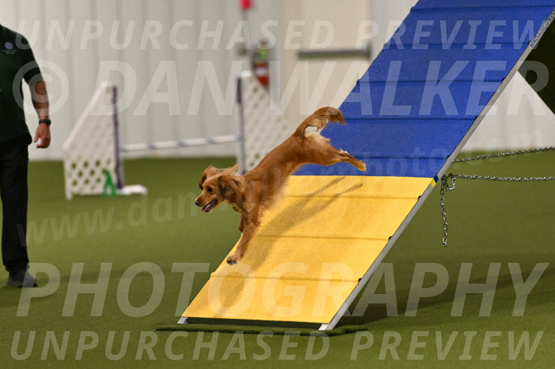 Sparrow-Christina-Coudret-01942