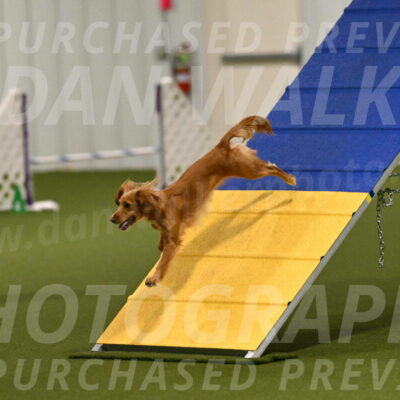 Sparrow-Christina-Coudret-01942