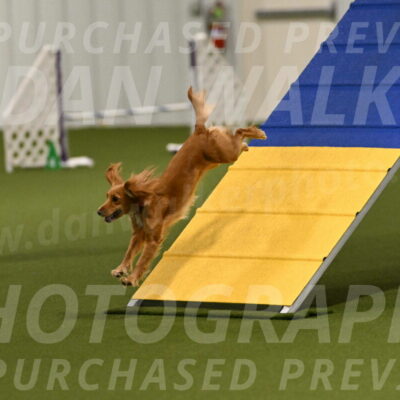 Sparrow-Christina-Coudret-01943