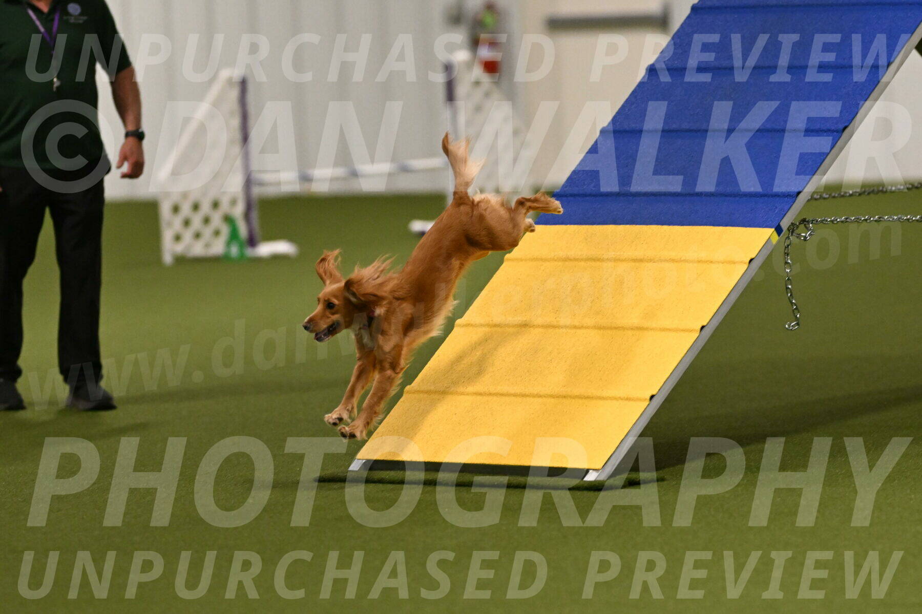 Sparrow-Christina-Coudret-01943