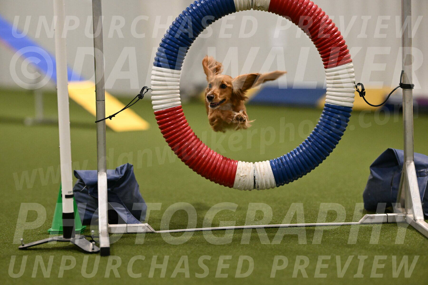 Sparrow-Christina-Coudret-01949