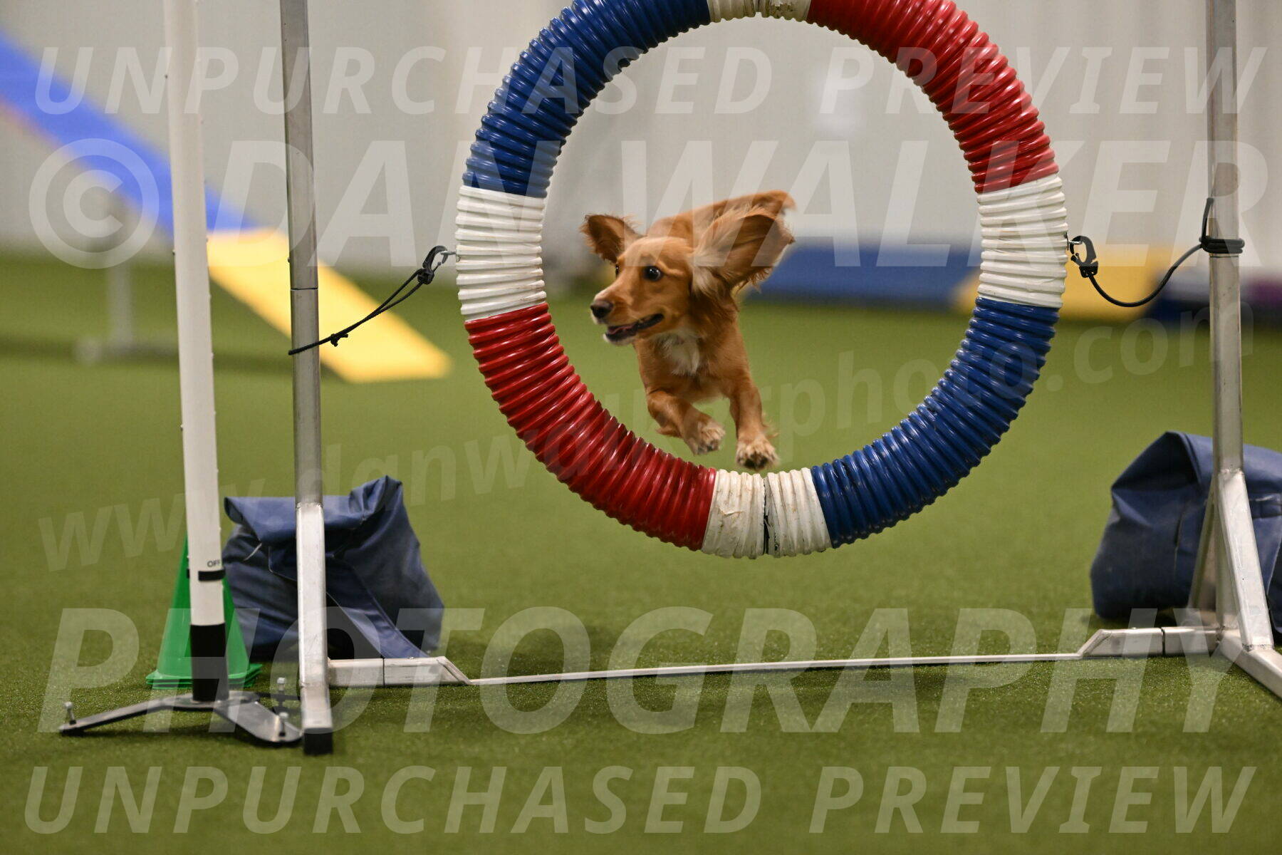 Sparrow-Christina-Coudret-01950