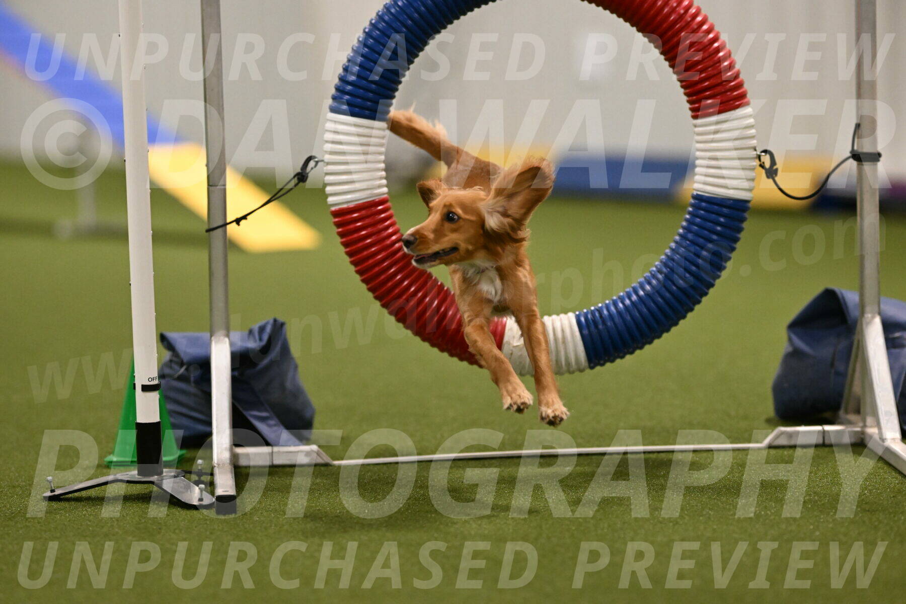 Sparrow-Christina-Coudret-01951