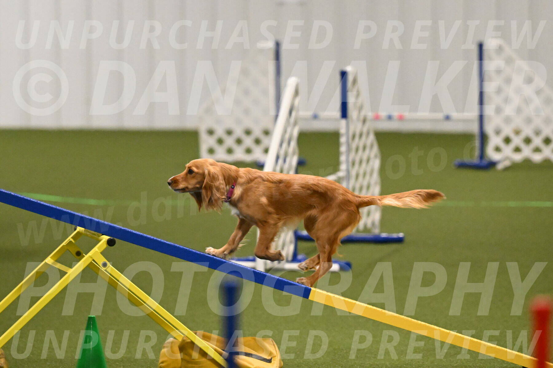 Sparrow-Christina-Coudret-01967