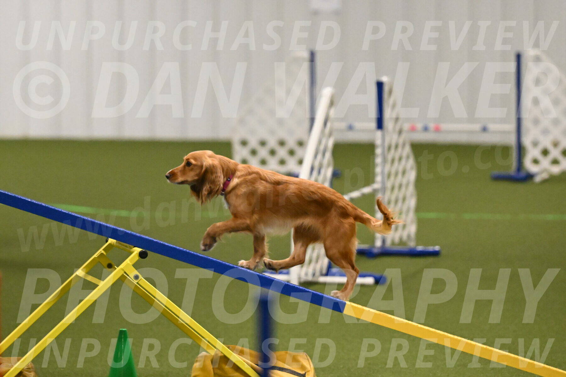 Sparrow-Christina-Coudret-01968