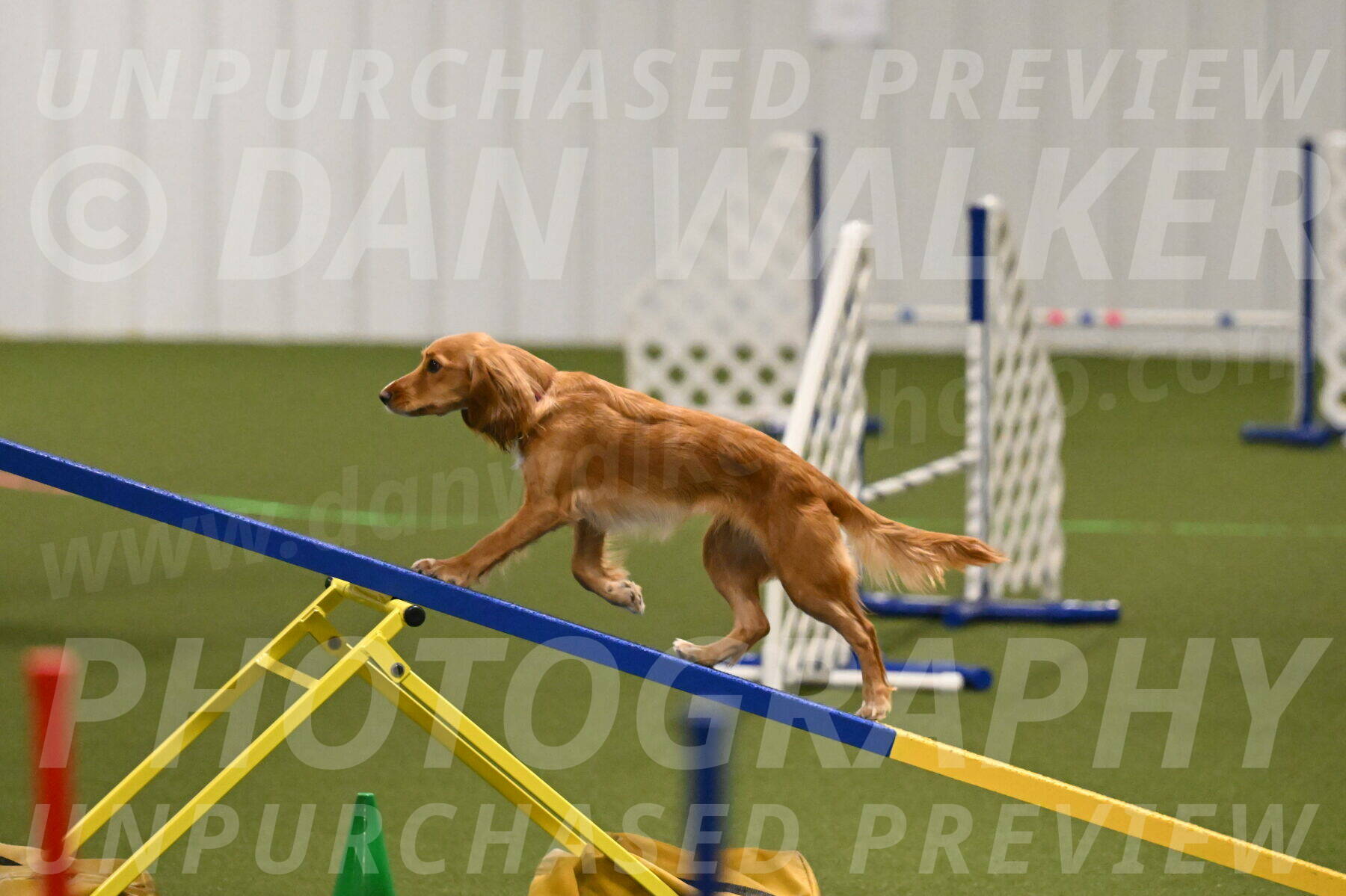 Sparrow-Christina-Coudret-01969