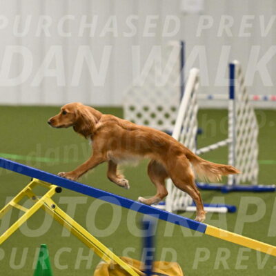 Sparrow-Christina-Coudret-01969