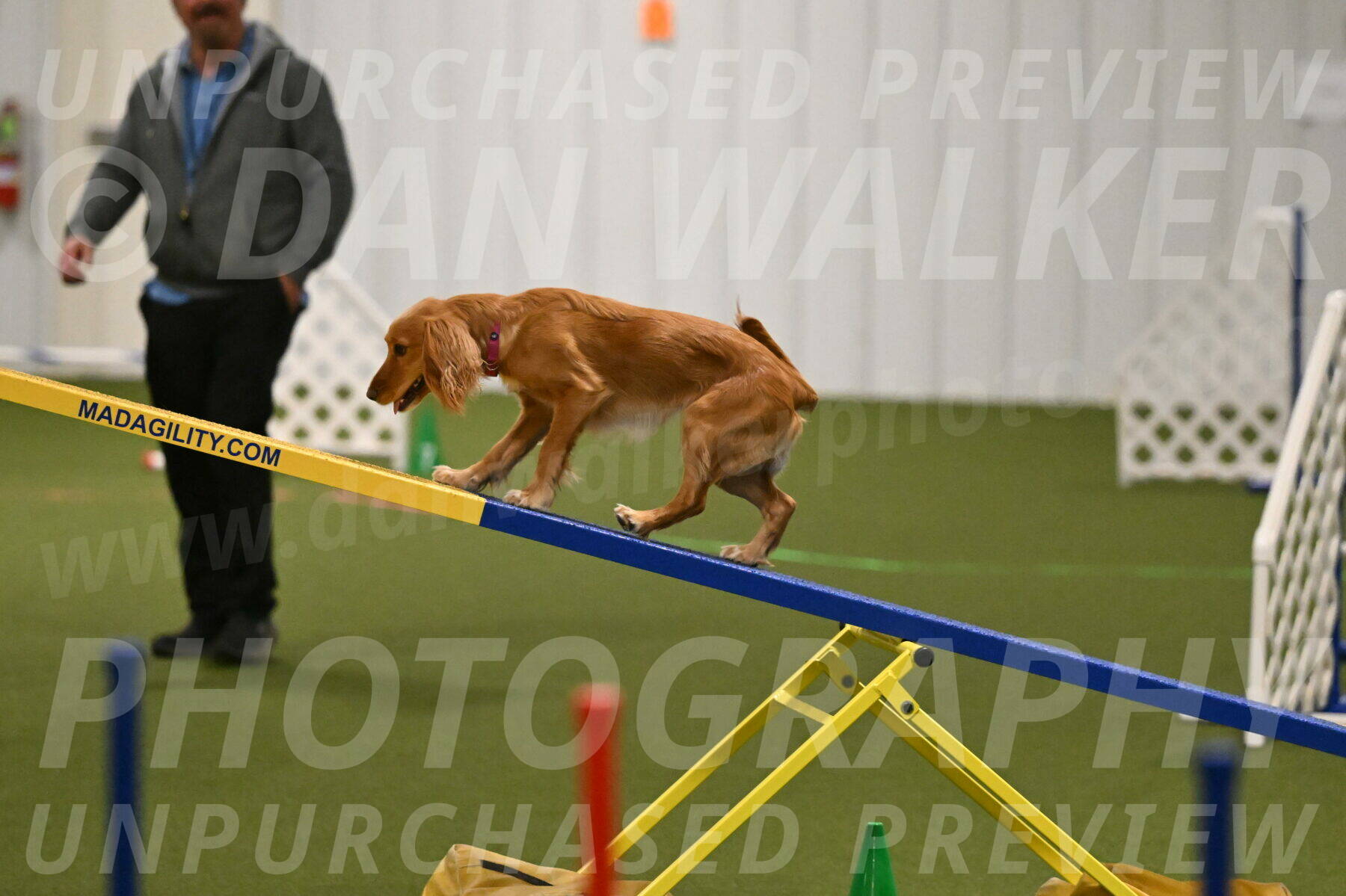 Sparrow-Christina-Coudret-01970