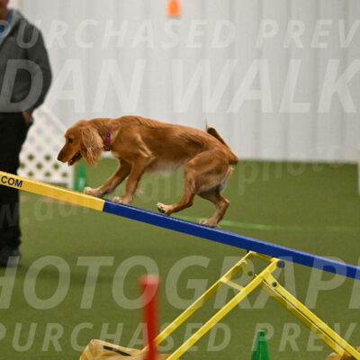 Sparrow-Christina-Coudret-01970