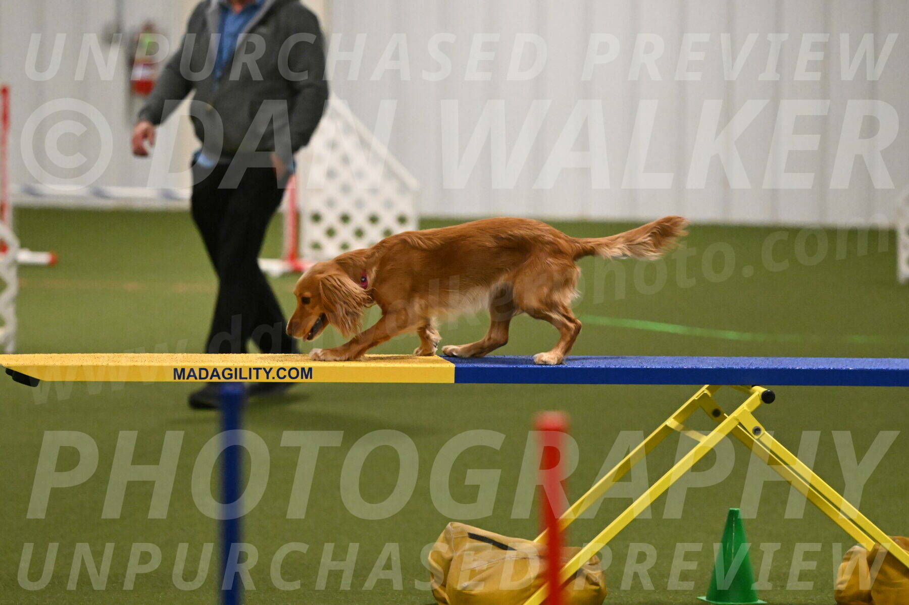 Sparrow-Christina-Coudret-01971