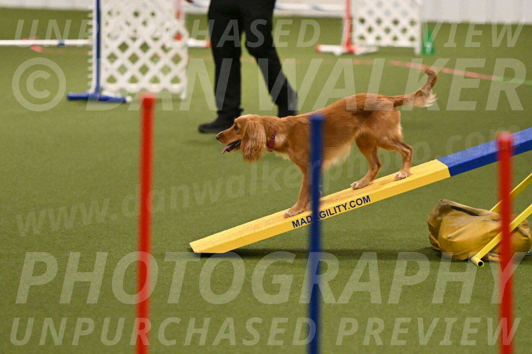 Sparrow-Christina-Coudret-01972