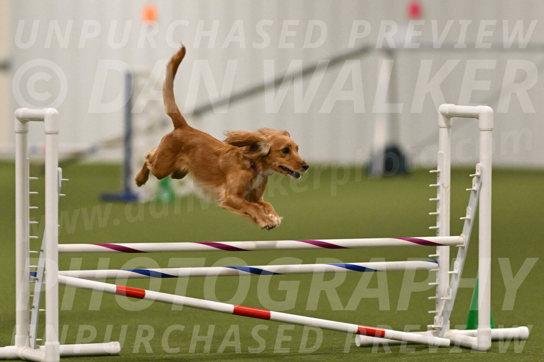 Sparrow-Christina-Coudret-01978