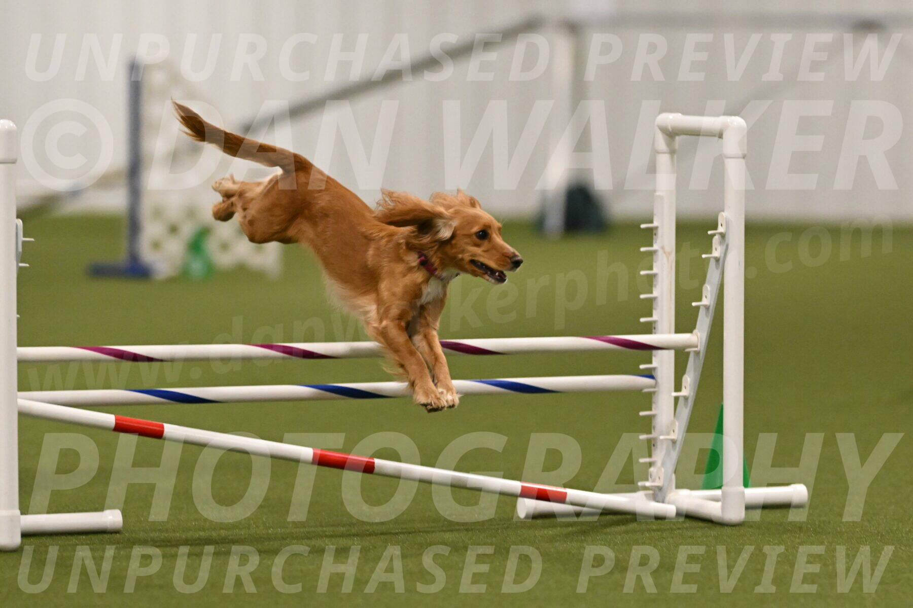 Sparrow-Christina-Coudret-01979