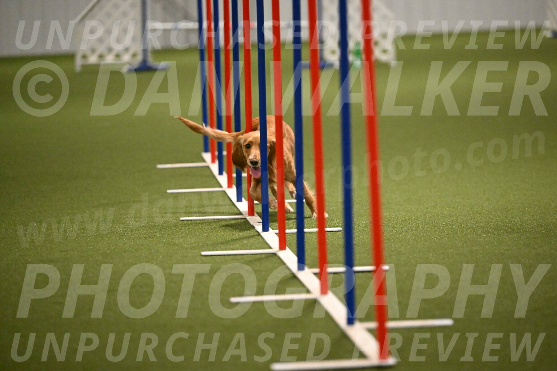 Sparrow-Christina-Coudret-02000