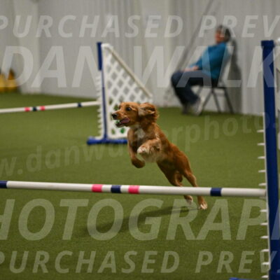 Sparrow-Christina-Coudret-02011