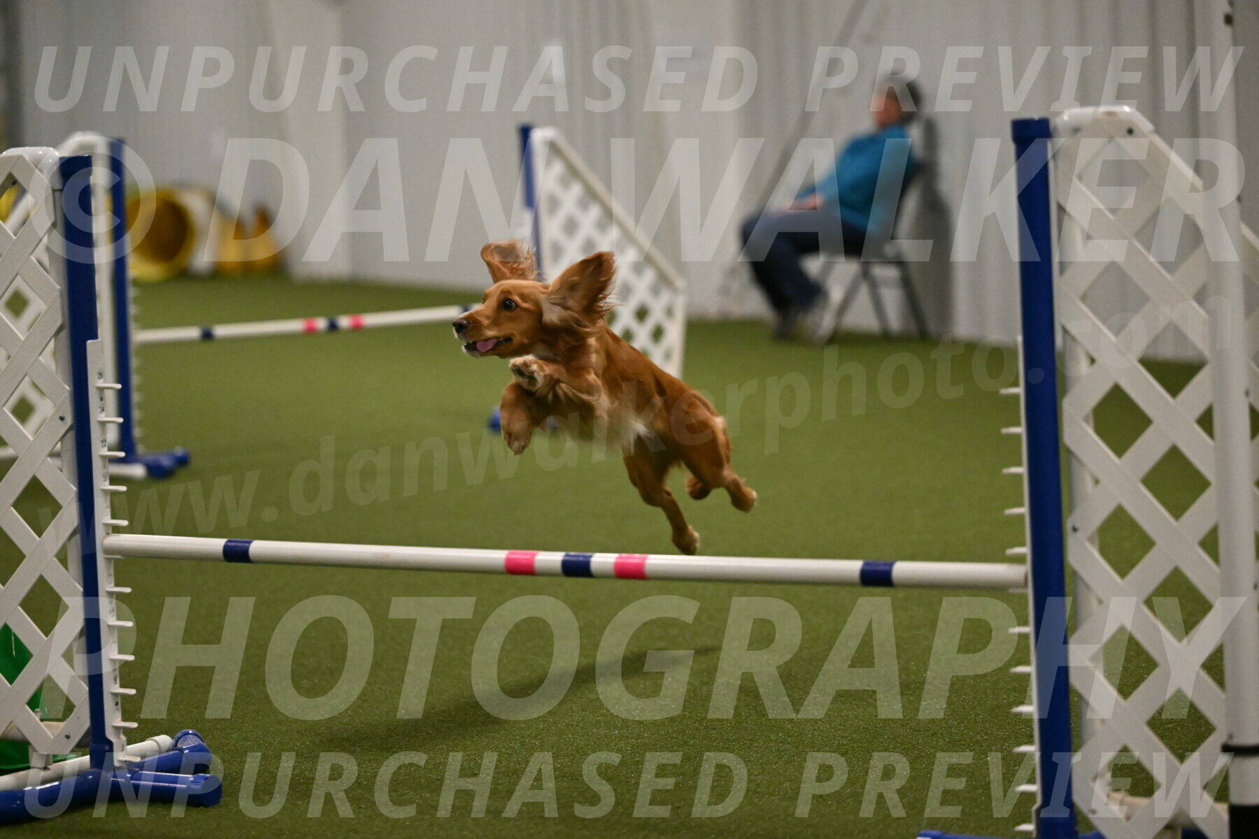 Sparrow-Christina-Coudret-02012