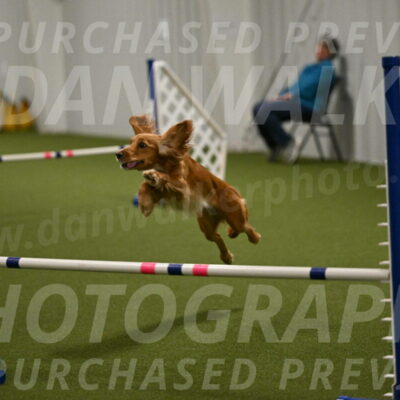 Sparrow-Christina-Coudret-02012