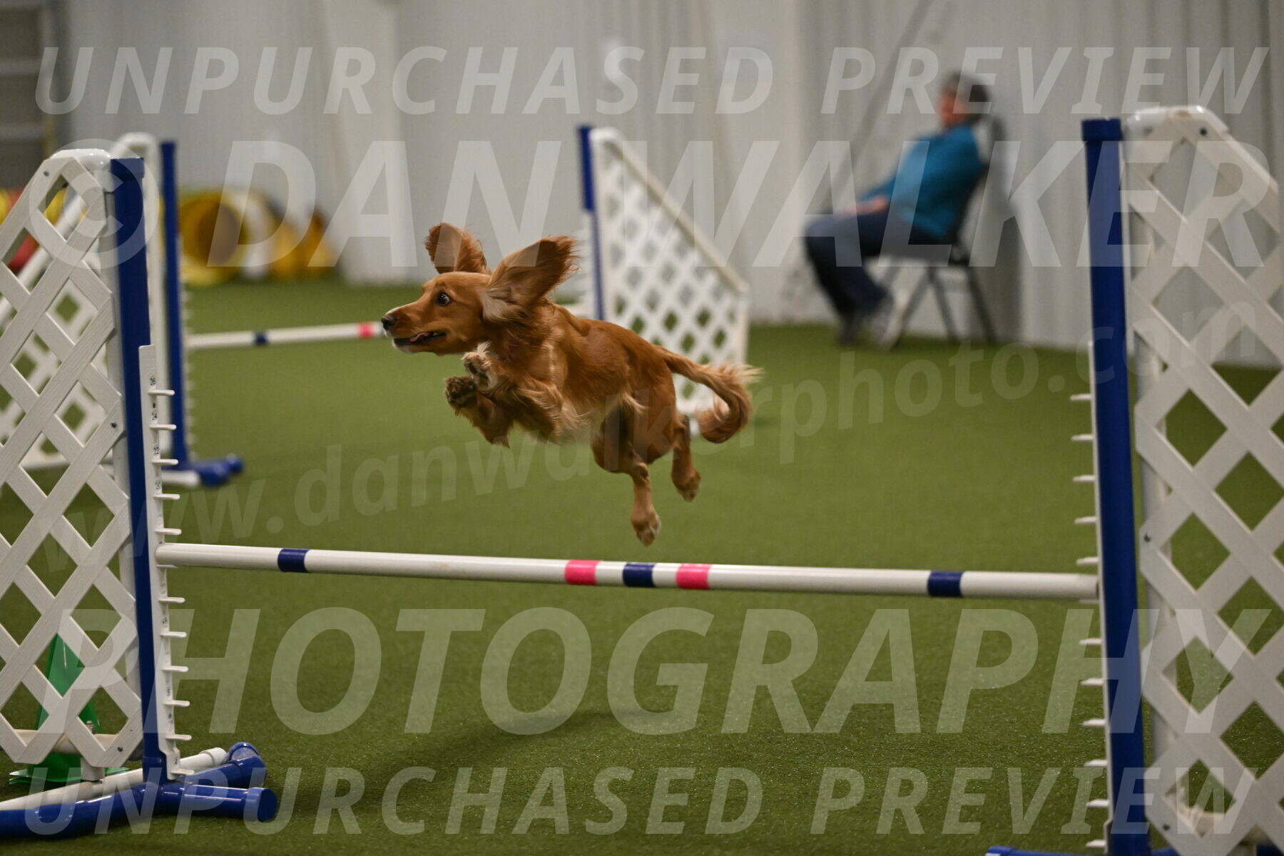 Sparrow-Christina-Coudret-02013