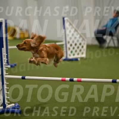 Sparrow-Christina-Coudret-02014