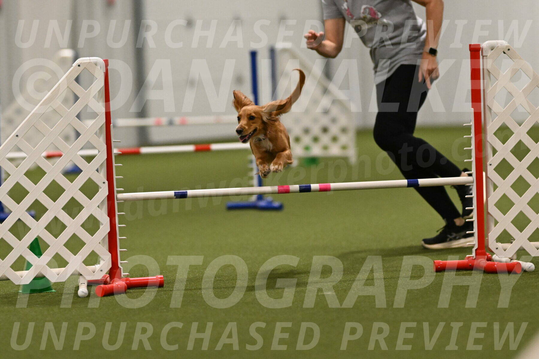 Sparrow-Christina-Coudret-02031