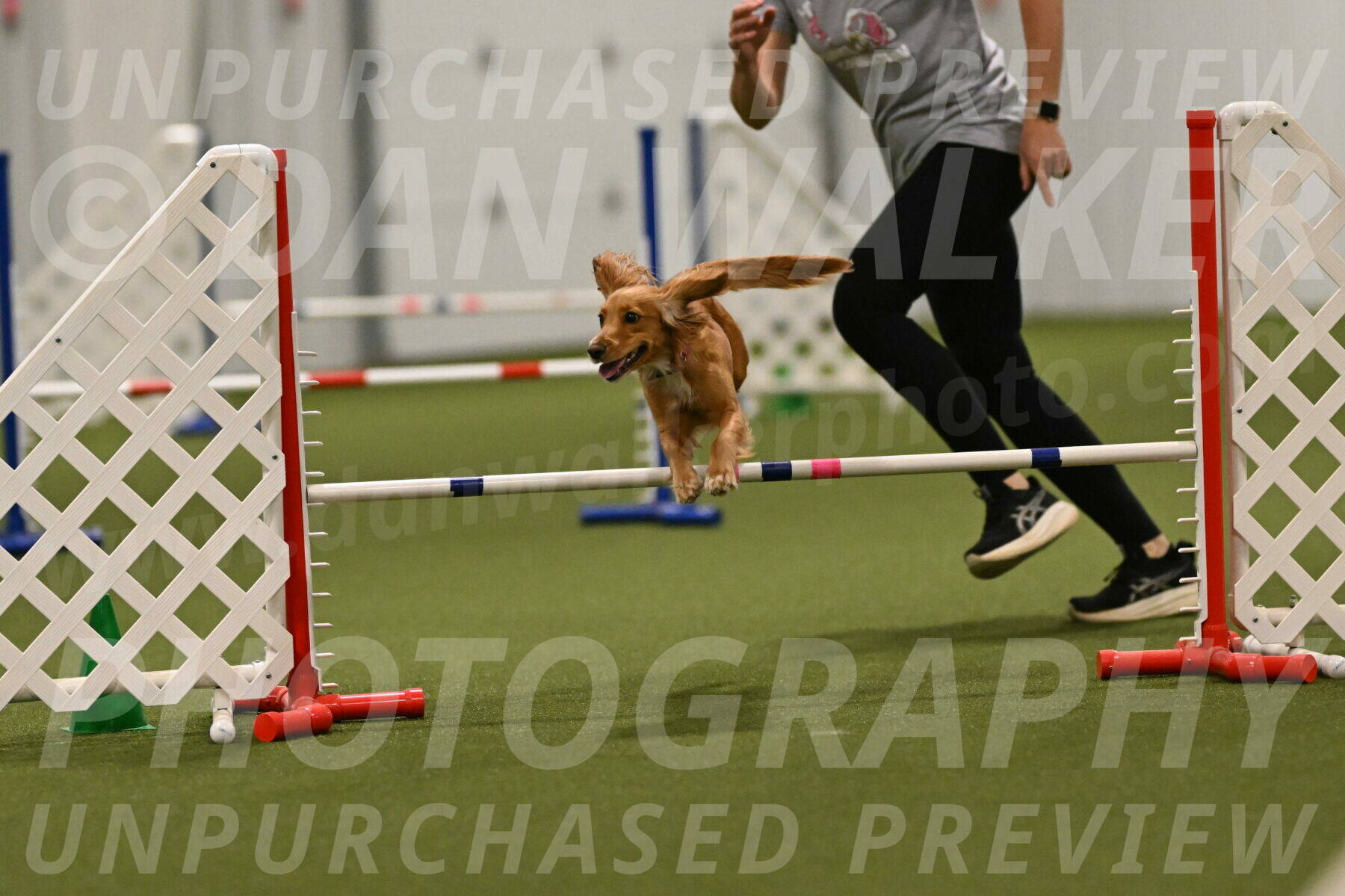 Sparrow-Christina-Coudret-02032