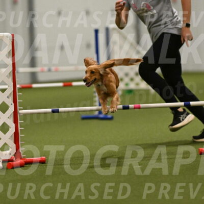 Sparrow-Christina-Coudret-02032