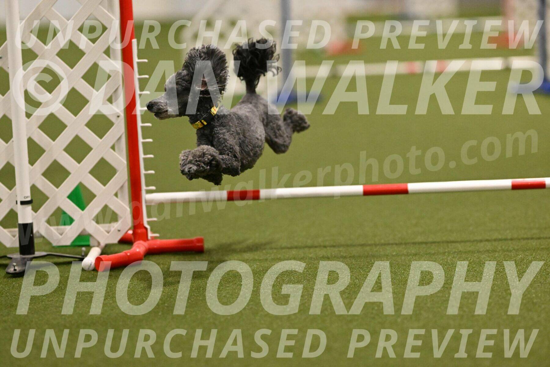 Sprig-Lori-Bieber-08726