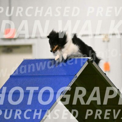 Sting-Susan-Crank-12044