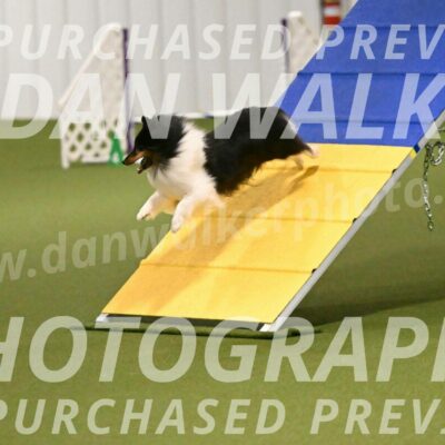 Sting-Susan-Crank-12045