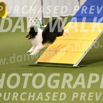 Sting-Susan-Crank-12046