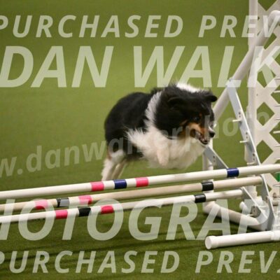 Sting-Susan-Crank-12047