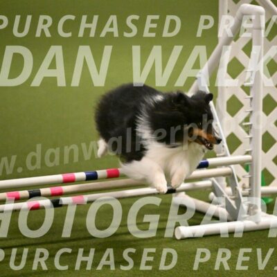 Sting-Susan-Crank-12048