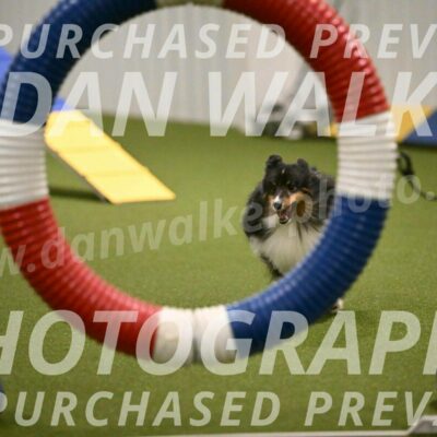 Sting-Susan-Crank-12049