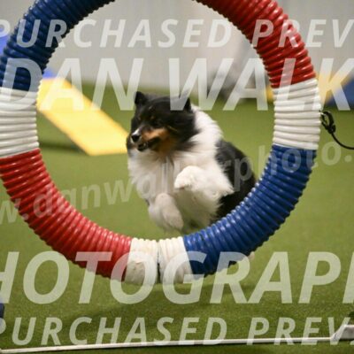 Sting-Susan-Crank-12050